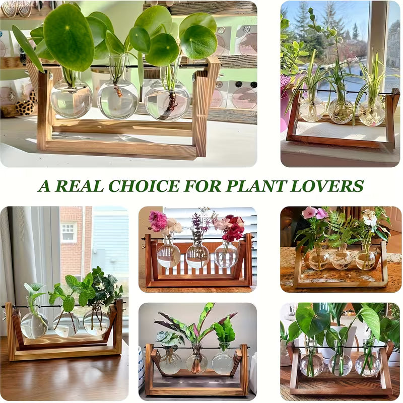 Plant Propagation Station – Wooden Stand with 3 Glass Bulb Vases for Hydroponic Plants & Home Décor