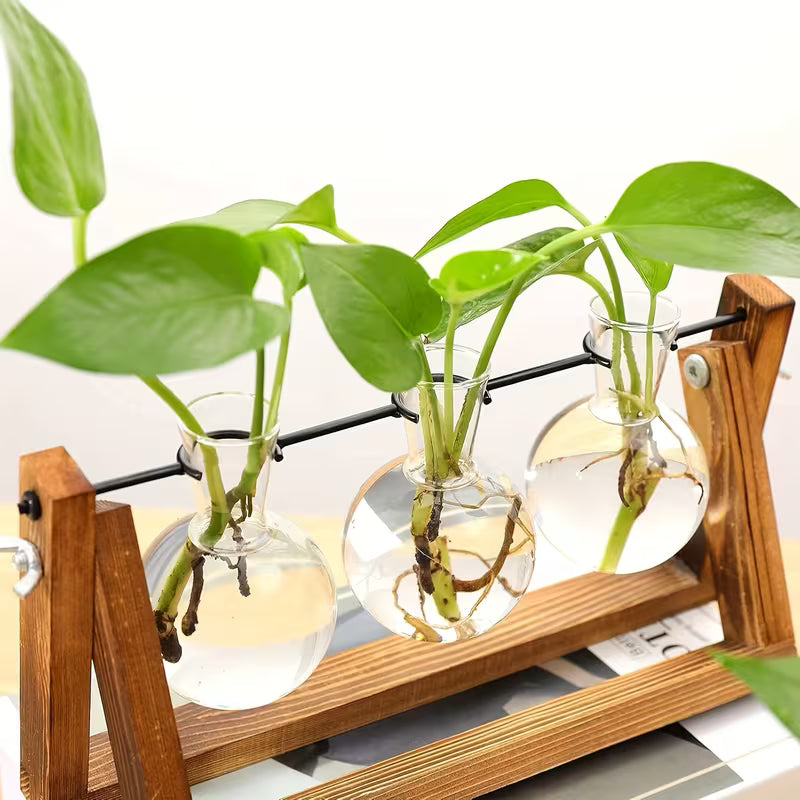 Plant Propagation Station – Wooden Stand with 3 Glass Bulb Vases for Hydroponic Plants & Home Décor