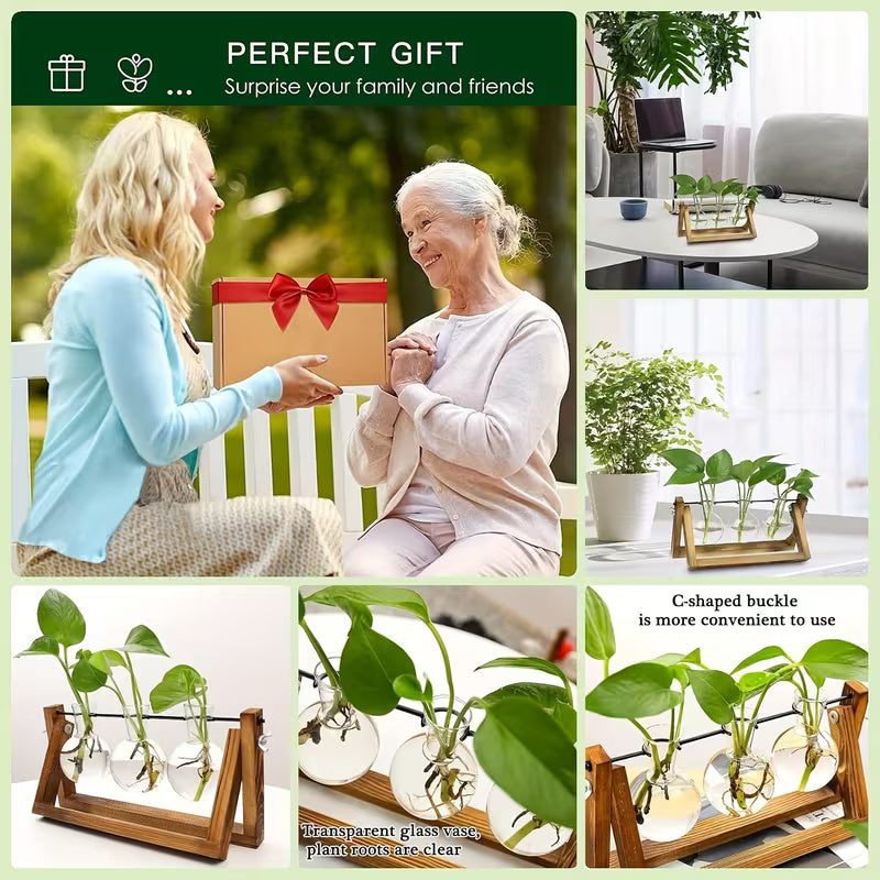 Plant Propagation Station – Wooden Stand with 3 Glass Bulb Vases for Hydroponic Plants & Home Décor