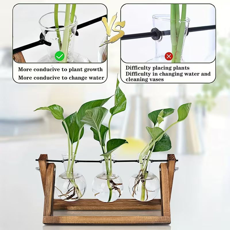 Plant Propagation Station – Wooden Stand with 3 Glass Bulb Vases for Hydroponic Plants & Home Décor