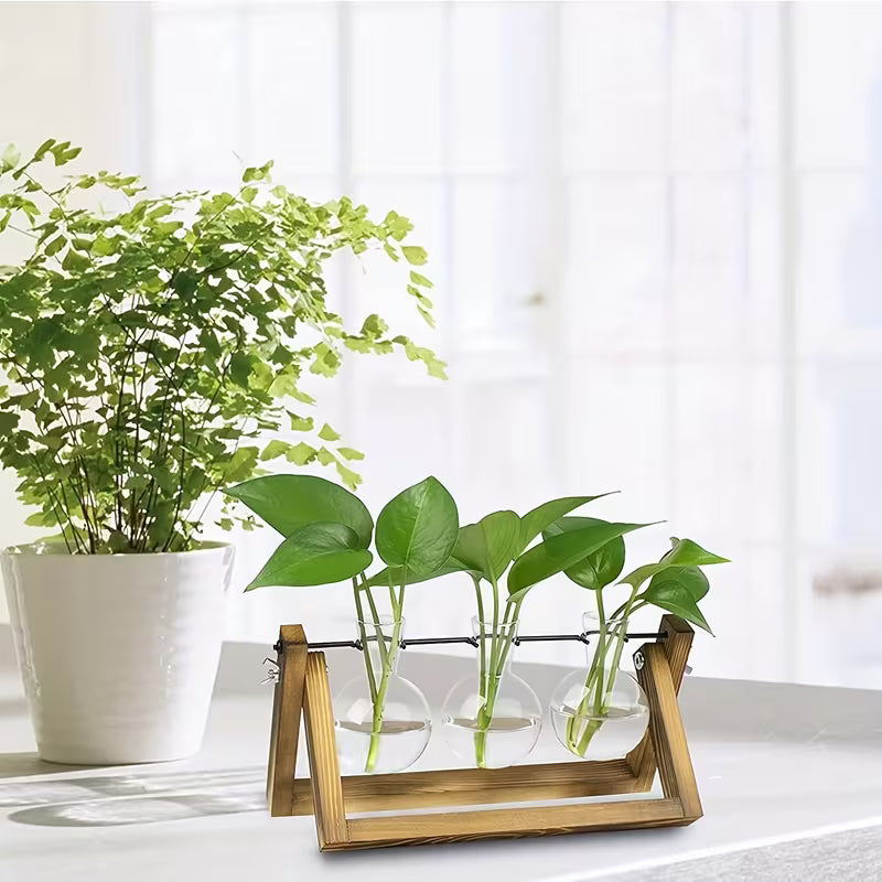 Plant Propagation Station – Wooden Stand with 3 Glass Bulb Vases for Hydroponic Plants & Home Décor