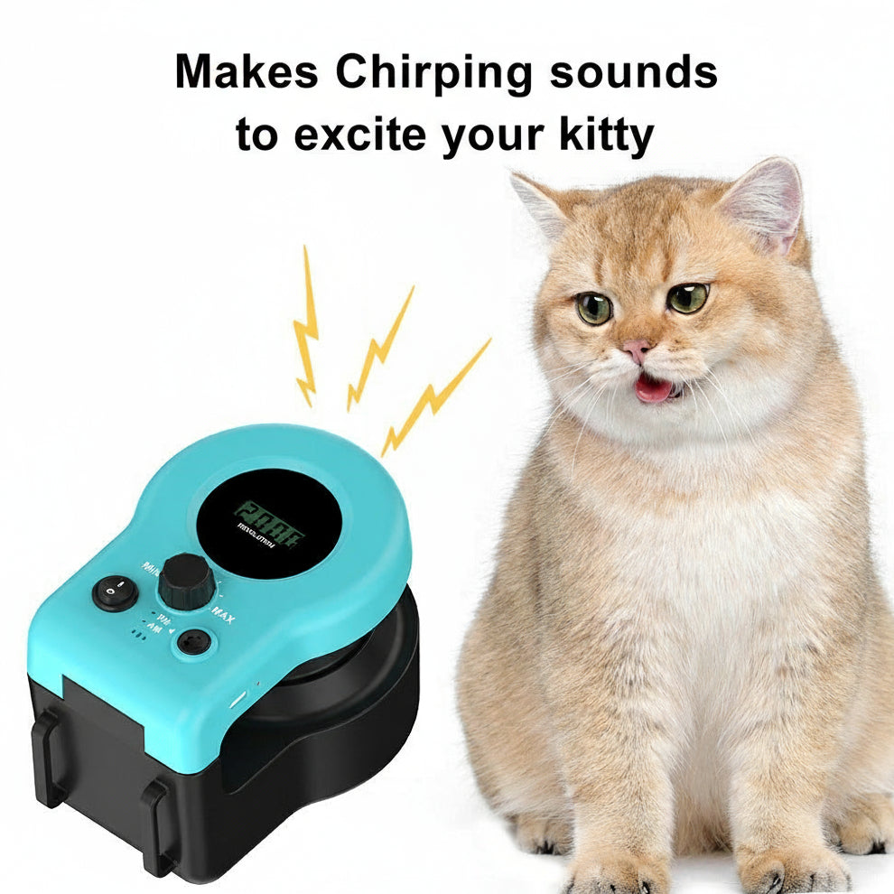 Electronic Pet Chase Toy for cats and dogs