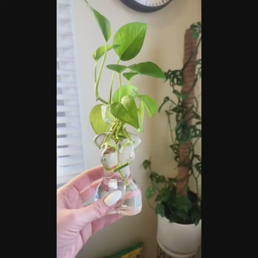 Modern Female Silhouette Glass Vase – Geometric H‑Neck Propagation & Display Vessel